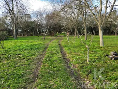 Campo en Venta en Arturo Segui, Partido de La Plata
