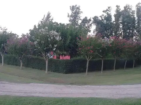 Campo en Venta en Gobernador Castro, Partido de San Pedro