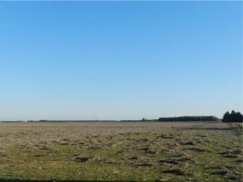 Campo en Venta en Baradero, Partido de Baradero
