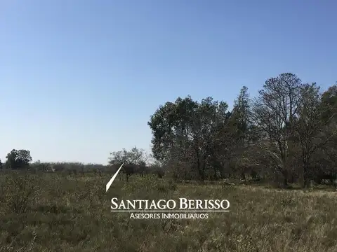 Campo en Venta en Campana, Partido de Campana