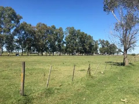 Campo en Venta en Alejandro Korn, Partido de San Vicente