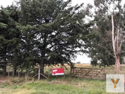 Campo en Venta en General Mansilla, Partido de Magdalena