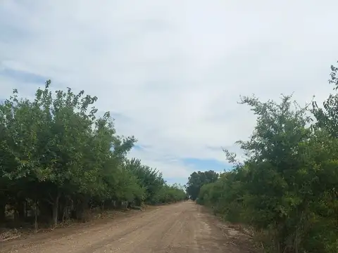 Campo en Venta en Arana, Partido de La Plata