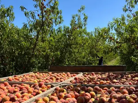 Campo en Venta en San Pedro, Partido de San Pedro