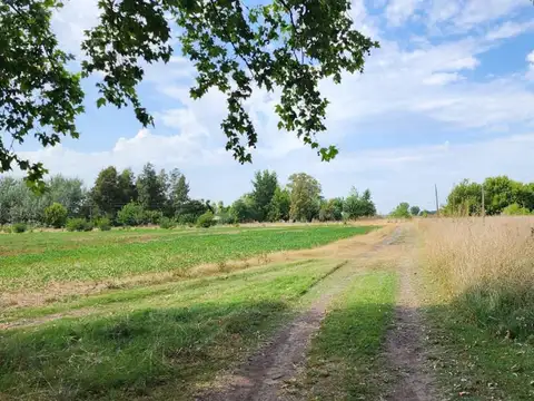 Campo en Venta en Zona Rural, San Miguel del Monte