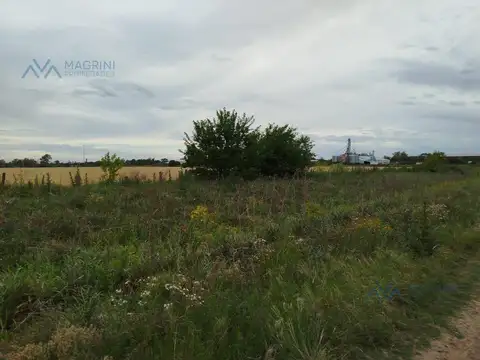 Campo en Venta en Pergamino, Partido de Pergamino