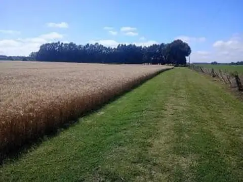 Campo en Venta en La Ballenera, Partido de General Alvarado