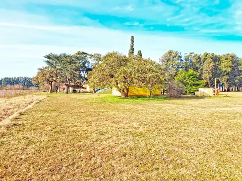 Campo en Venta en San Pedro, Partido de San Pedro