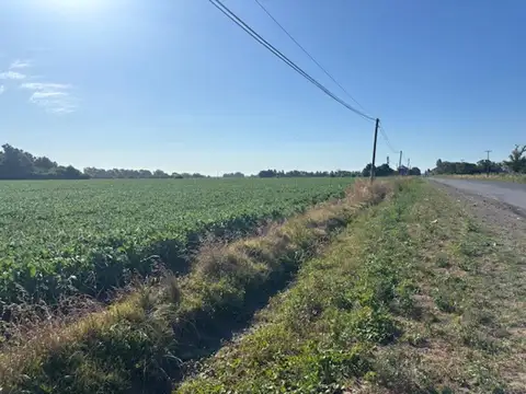 Campo en Venta en San Pedro, Partido de San Pedro