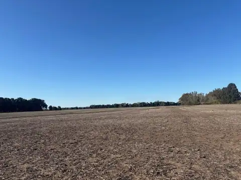 Campo en Venta en San Pedro, Partido de San Pedro