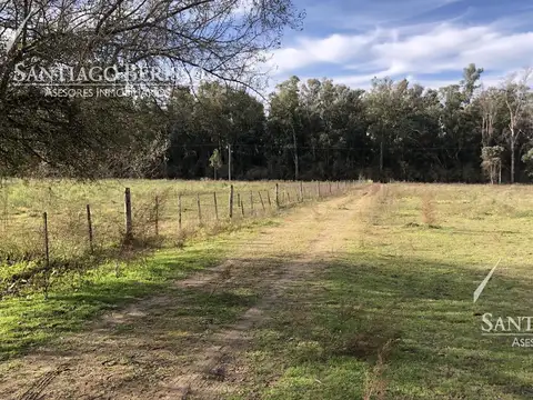 Campo en Venta en Campana, Partido de Campana