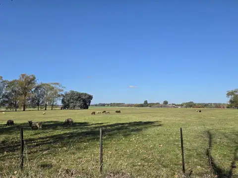 Campo en Venta en Capilla del Señor, Partido de Exaltación de la Cruz