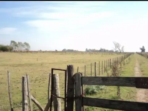 Campo en Venta en Zarate, Partido de Zárate