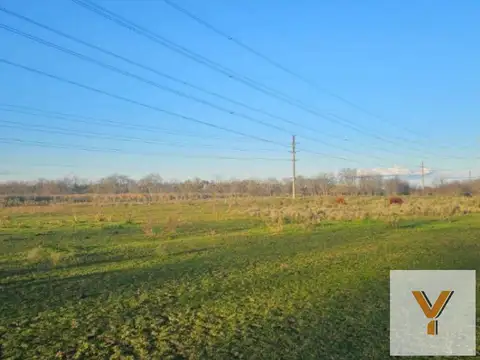 Campo en Venta en Vicente Casares, Partido de Cañuelas