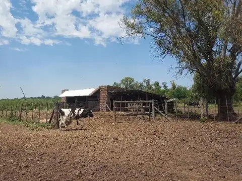 Campo en Venta en Marcos Paz, Partido de Marcos Paz