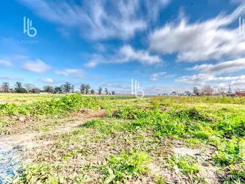 Campo en Venta en Barrio Libertad, Mar del Plata