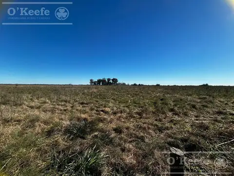 Campo en Venta en La Plata, Partido de La Plata