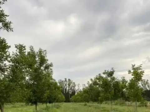 Campo en Venta en Gobernador Castro, Partido de San Pedro