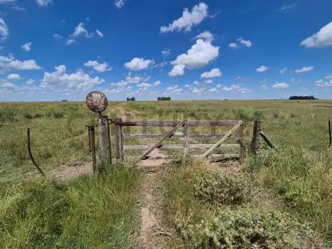 Campo en Venta en Recalde, Partido de Olavarría