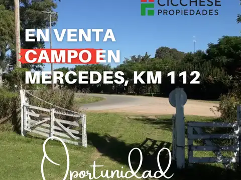 Campo en Venta en Mercedes, Partido de Mercedes