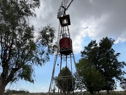 Campo en Venta en Ignacio Correas Arana, Partido de La Plata