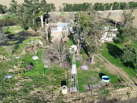 Campo en Venta en San Nicolas de los Arroyos, Partido de San Nicolás