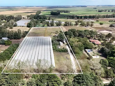 Campo en Venta en Mar del Plata, Partido de General Pueyrredón