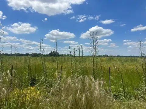 Campo en Venta en Etchegoyen, Partido de Exaltación de la Cruz