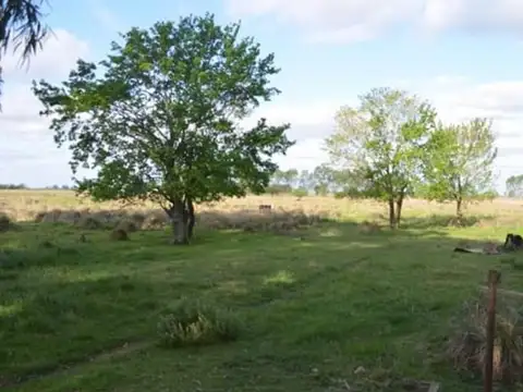 Campo en Venta en Zarate, Partido de Zárate