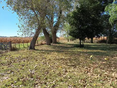 Campo en Venta en Las Flores, Partido de Las Flores