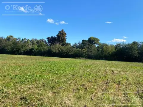 Campo en Venta en La Plata, Partido de La Plata