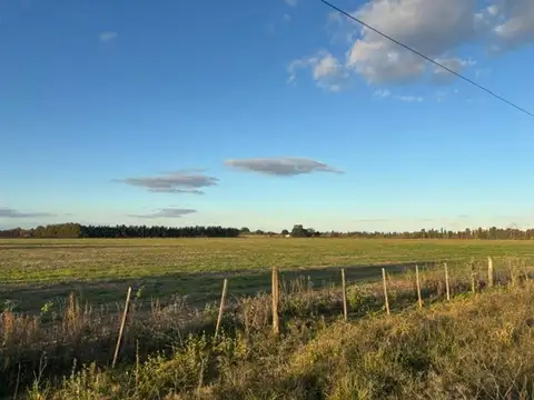 Campo en Venta en San Pedro, Partido de San Pedro