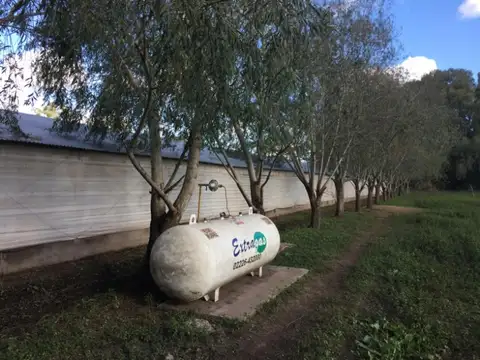 Campo en Venta en Santa Lucia, Partido de San Pedro