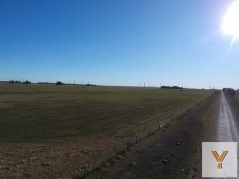 Campo en Venta en Olavarria, Partido de Olavarría