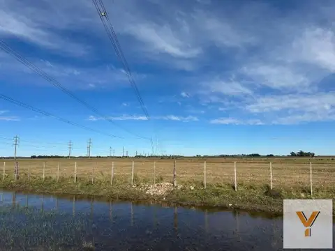 Campo en Venta en Olavarría, Partido de Olavarría