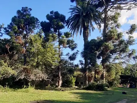 Campo en Venta en Tomas Jofre, Partido de Mercedes