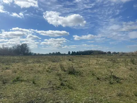 Campo en Venta en Pavon, Partido de Exaltación de la Cruz