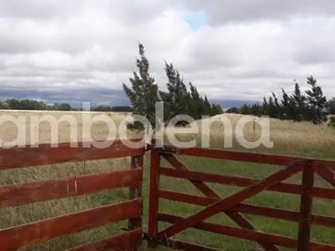 Campo en Venta en Punta Indio, Partido de Punta Indio