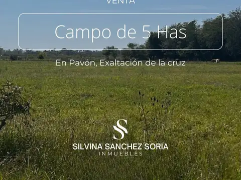 Campo en Venta en Pavon, Partido de Exaltación de la Cruz