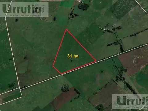 Campo en Venta en Enrique Fynn, Partido de General Las Heras