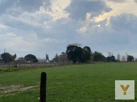 Campo en Venta en Pergamino, Partido de Pergamino