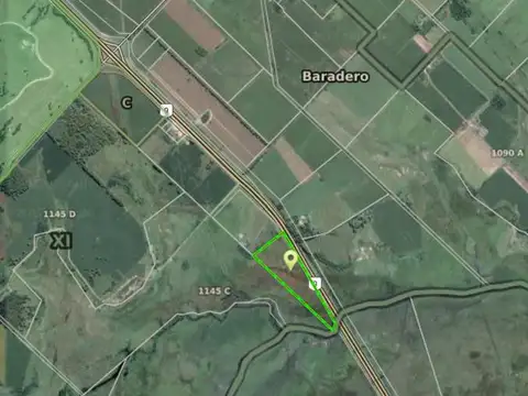 Campo en Venta en Alsina, Partido de Baradero