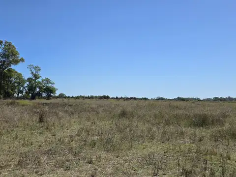 Campo en Venta en Villa Lía, Partido de San Antonio de Areco