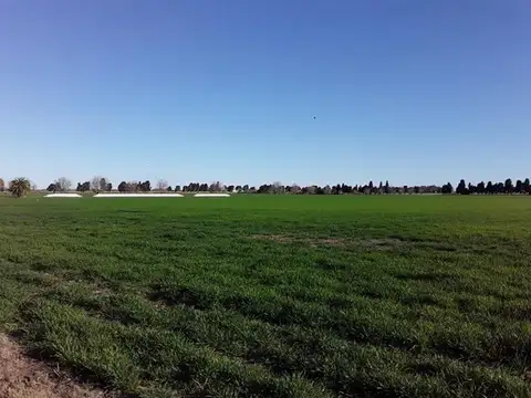 Campo en Venta en Ramallo, Partido de Ramallo