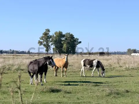 Campo en Venta en General las Heras, Partido de General Las Heras