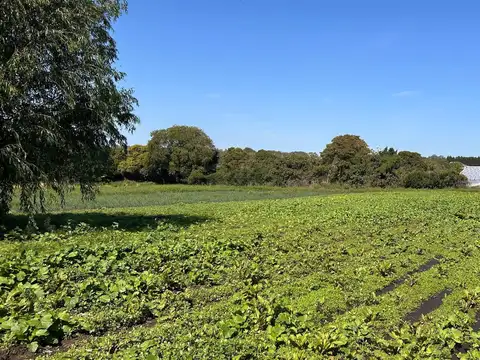 Campo en Venta en Mar del Plata, Partido de General Pueyrredón