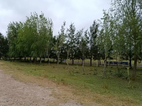 Campo en Venta en Cañuelas Rural, Cañuelas