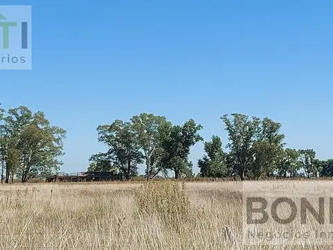Campo en Venta en Suipacha, Partido de Suipacha