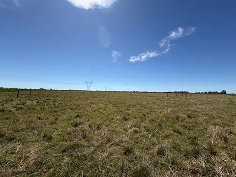 Campo en Venta en Villa Gral Savio Ex Sanchez, Partido de Ramallo