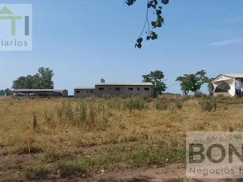 Campo en Venta en Gorchs, Partido de General Belgrano